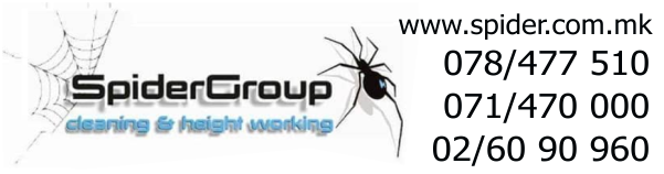 spider group